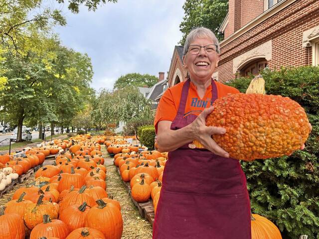 7789493_web1_sew-halloweenpumpkin-101724