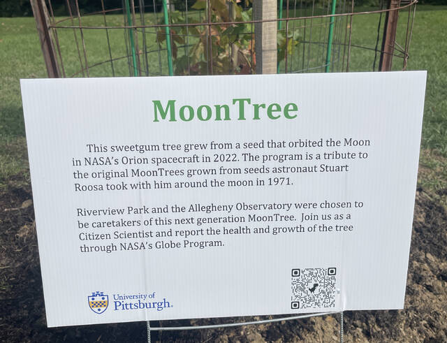 7809515_web1_ptr-MoonTree-100824-Sign