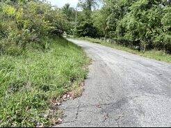 7819490_web1_vnd-ReedStreet1