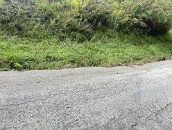 7819490_web1_vnd-ReedStreet2