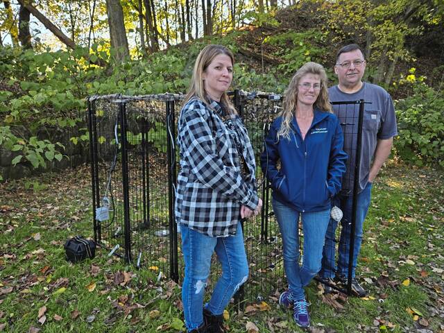 7821354_web1_vep-faces-lostdogfinders2-102024