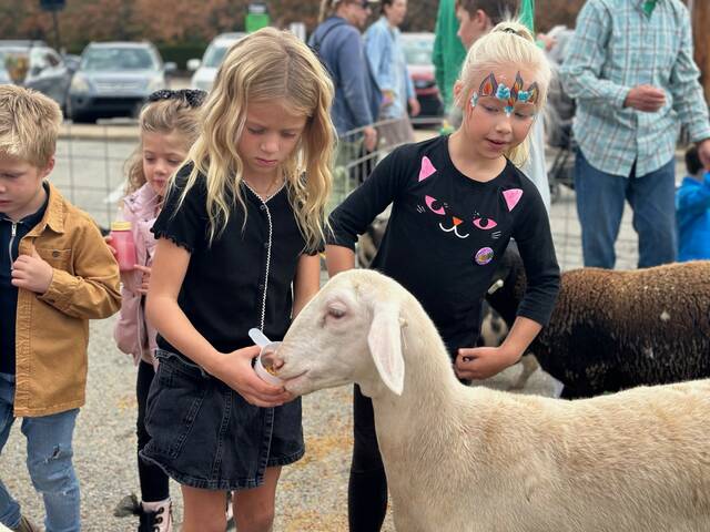 7827631_web1_her-FITWgirlsandgoats-102424