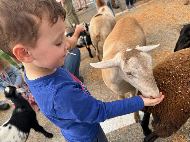 7827631_web1_her-FITWhaydengoat-102424