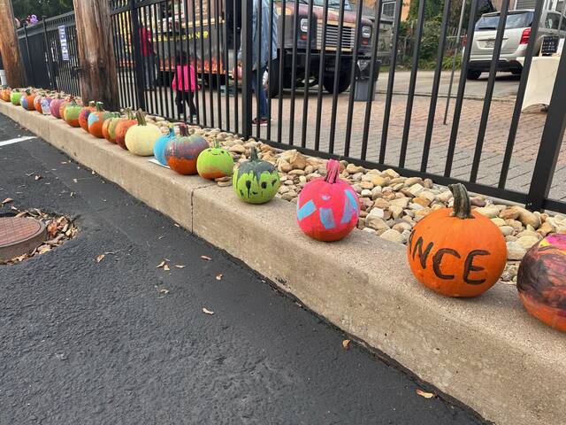 7827631_web1_her-FITWpumpkins-102424