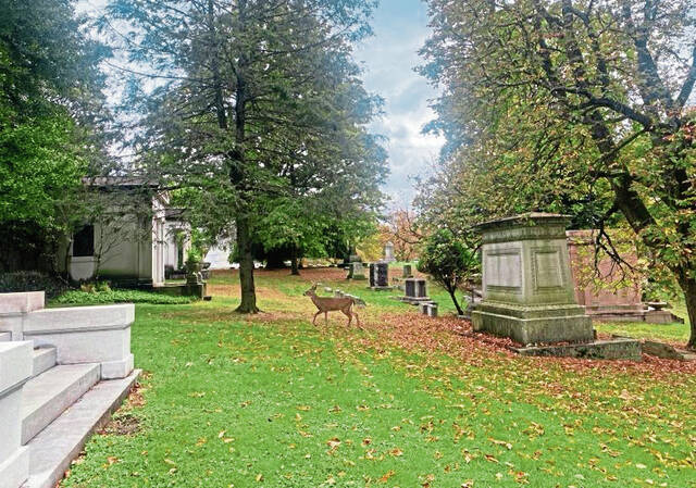 7831048_web1_gtr-FamousGraves-Homewood