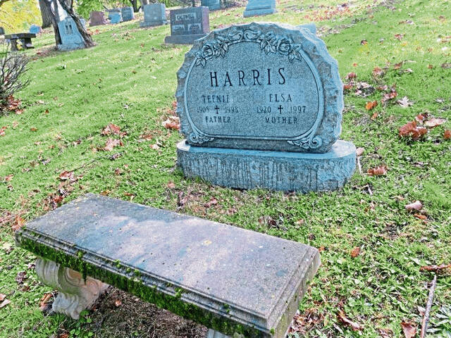 7831048_web1_gtr-famousgraves-teenie