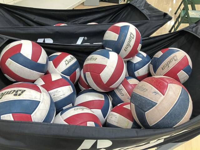 Greensburg Central Catholic volleyball beats St. Joseph in matchup of playoff teams