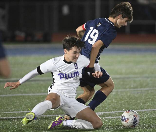 Defending 4A boys champ Norwin expecting similar draw in WPIAL soccer playoffs