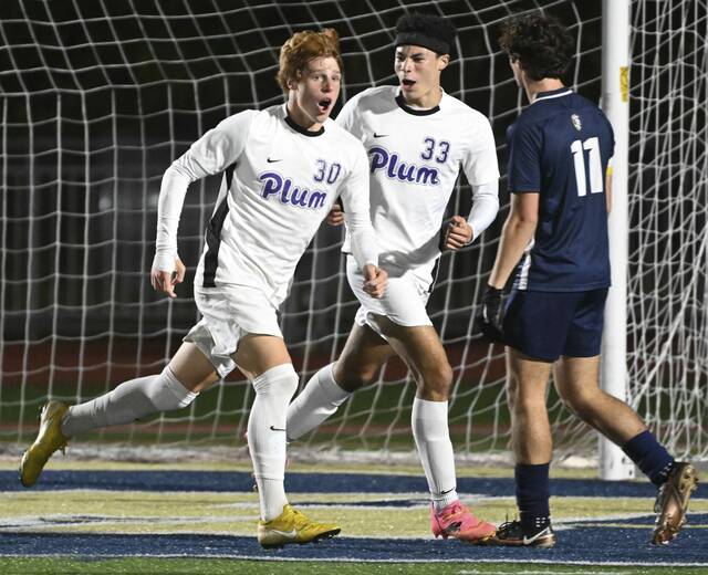Playoff field set with 63 teams in WPIAL boys soccer