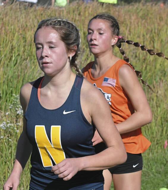 Norwin notebook: Knights sweep county cross country titles