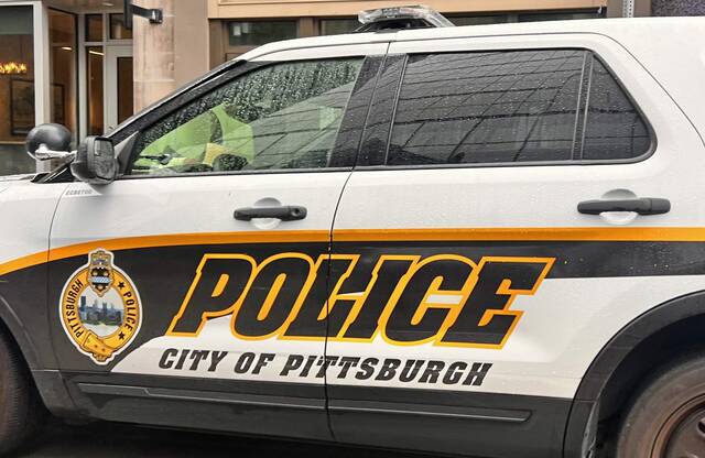 7837971_web1_web-PolicePghA