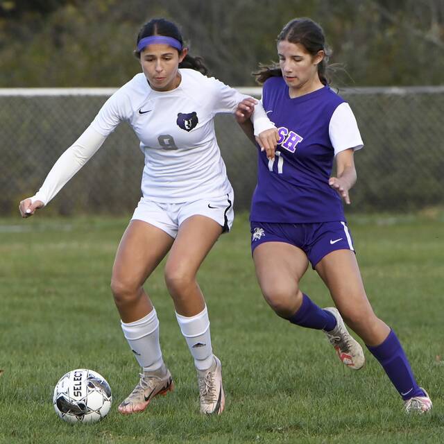 High school roundup for Oct. 16, 2024: South Fayette beats Fox Chapel in battle of reigning WPIAL girls soccer champs
