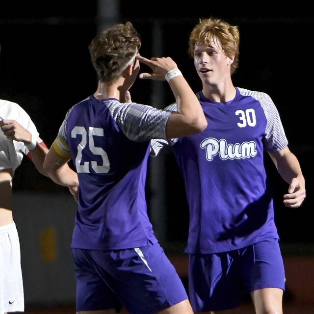 Trio of unbeaten teams earn top seeds for WPIAL soccer playoffs