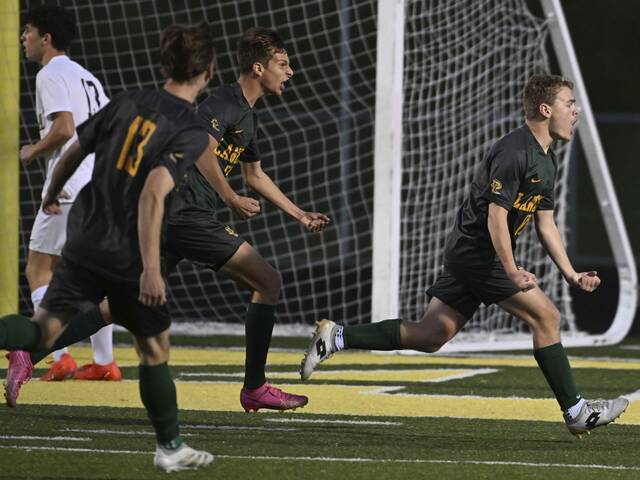 Deer Lakes settles in after ‘nervous’ first half, shuts out Hopewell in boys soccer playoffs