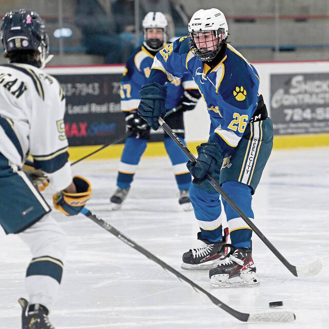 Quick start lifts spirits for Hampton hockey