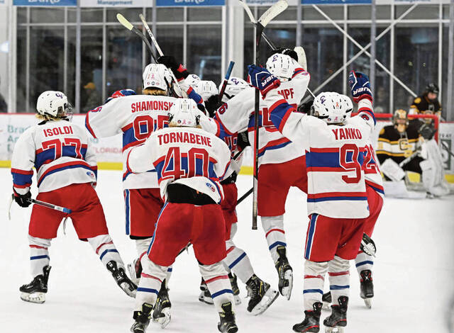 After undefeated season, Chartiers Valley hockey still has unfinished business