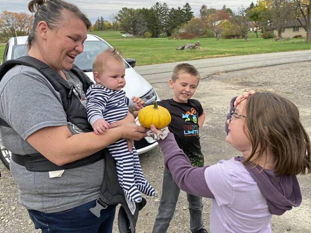 7859100_web1_gtr-StilePumpkins2-102624