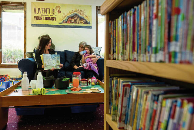 7860497_web1_gtr-SewickleyLibGrant1-102424