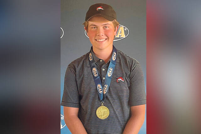 Looking to win ‘something big,’ Fox Chapel’s Carson Kittsley claims PIAA golf title