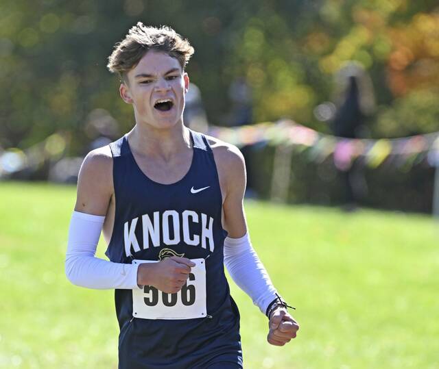 WPIAL cross country event has high stakes for A-K Valley runners