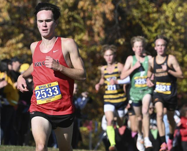 Fox Chapel, Freeport, Mohawk runners claim WPIAL boys cross country crowns