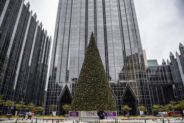 7871645_web1_ptr-PPGChristmssTree2