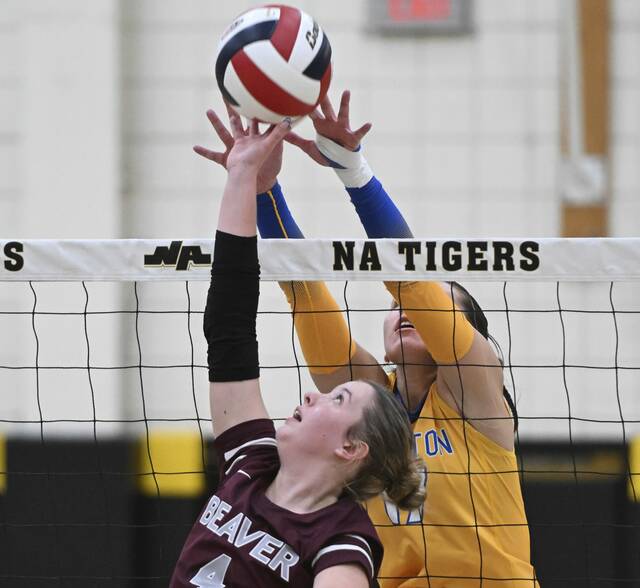 7879782_web1_ptr-HampBeaver01-103124