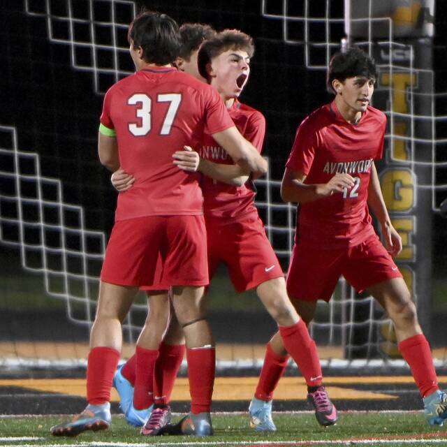 High school roundup for Oct. 28, 2024: Avonworth rallies past Deer Lakes into 2A finals