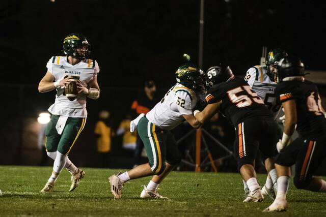 As he makes his playoff picks, The Birdie wonders which Westmoreland County team will keep streak alive