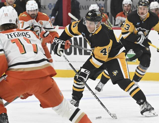 7891837_web1_ptr-PensDucks02-110124