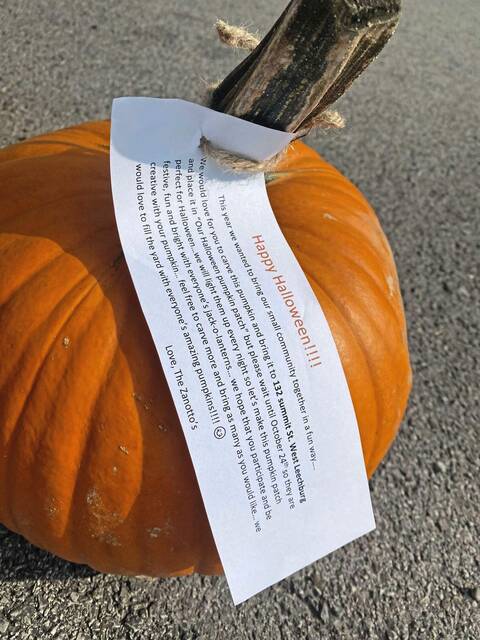7892645_web1_vnd-WestLeechburghPumpkin5-110124