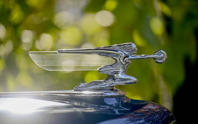 7806416_web1_sew-packard102-103124