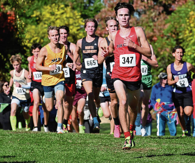 There was no catching Fox Chapel’s Ethan Vaughan at WPIAL cross-country meet