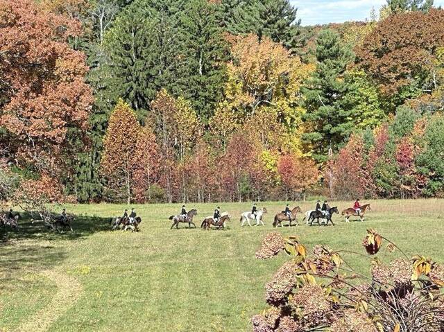 7891317_web1_sew-SewickleyHunt-1