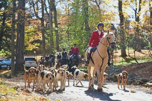 7891317_web1_sew-sewickleyhunt-6