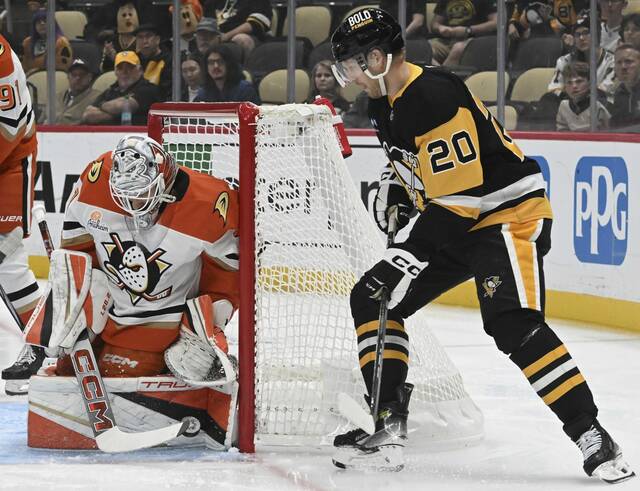 7891756_web1_ptr-PensDucks01-110124