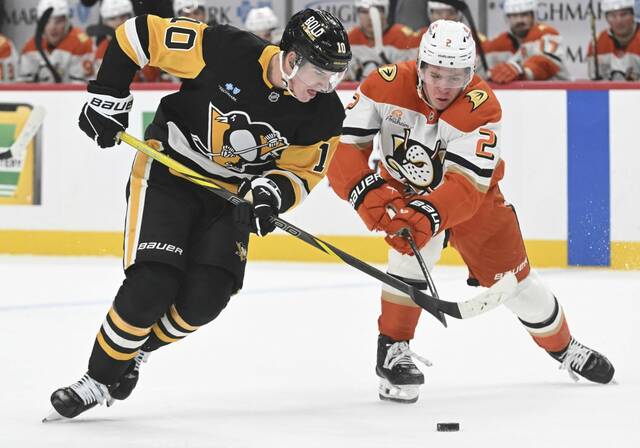7891756_web1_ptr-PensDucks04-110124