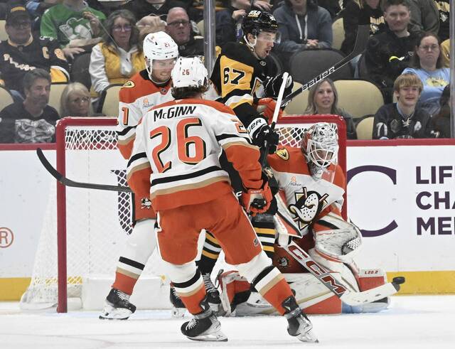 7891756_web1_ptr-PensDucks05-110124