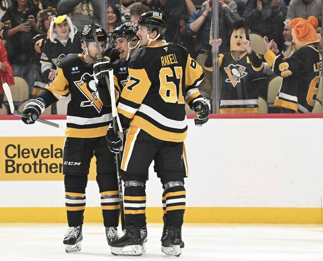 7891756_web1_ptr-PensDucks13-110124