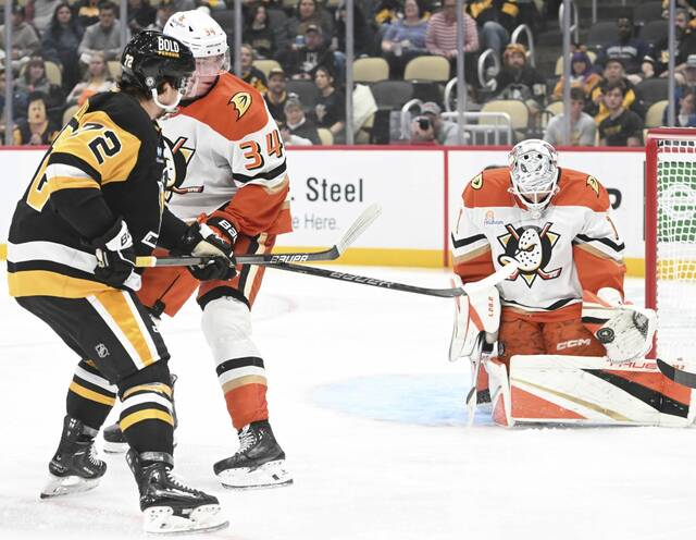 7891756_web1_ptr-PensDucks14-110124