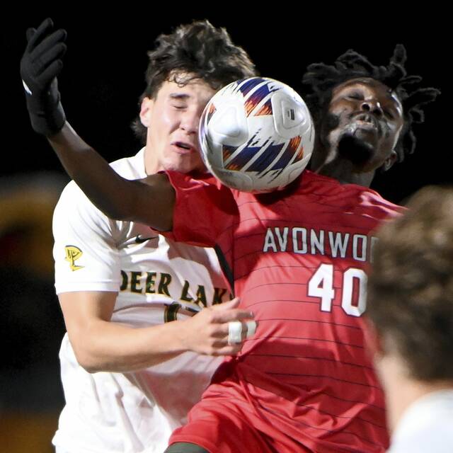 2024 WPIAL Class 2A boys soccer championship breakdown: South Park vs. Avonworth