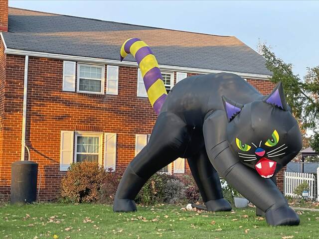 7895072_web1_PTR-Huge-black-cat-Halloween-decoration---Oct-2024