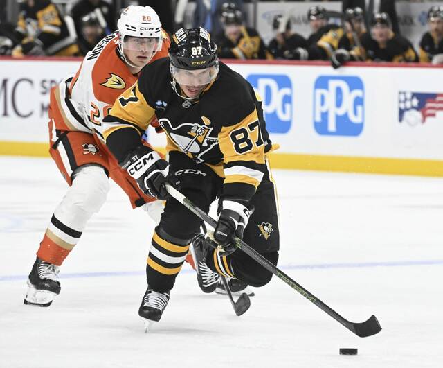7895072_web1_ptr-pensducks15-110124