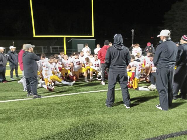 North Catholic holds on to beat Deer Lakes in 1st round