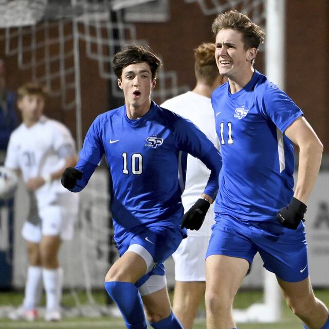 WPSCA announces all-state boys soccer selections
