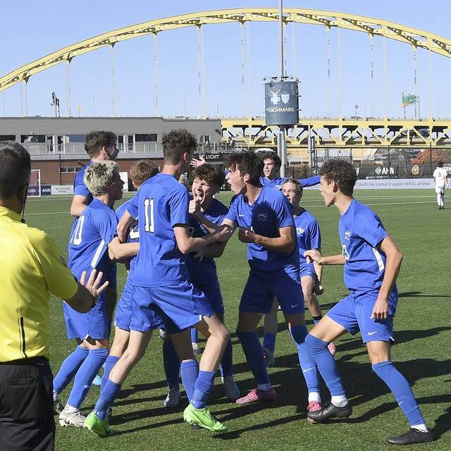 South Park blanks Avonworth to claim 5th WPIAL boys soccer championship