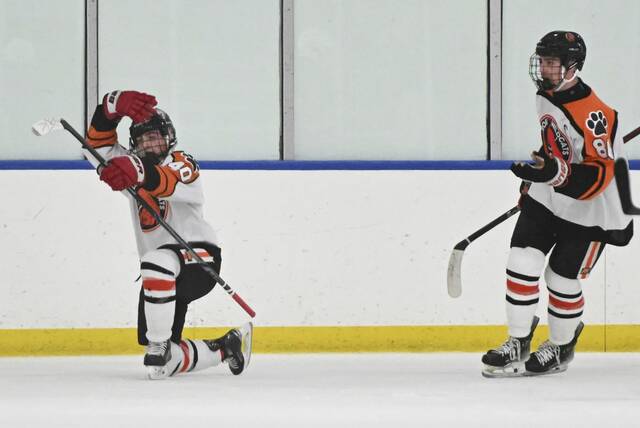 PIHL standings through Nov. 3, 2024