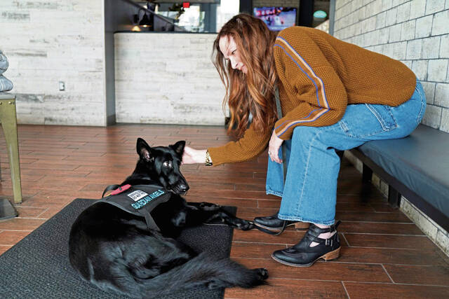7901356_web1_gtr-ServiceDogTJ1