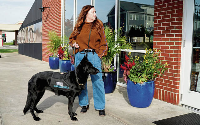 7901356_web1_gtr-ServiceDogTJ2