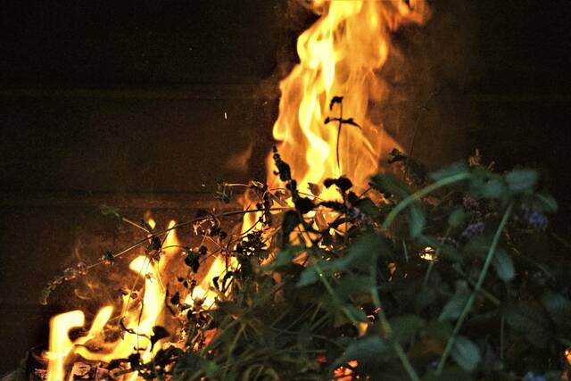 7903789_web1_WEB-flames-fire-brush